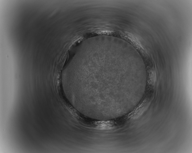 X0000097860273200803211300