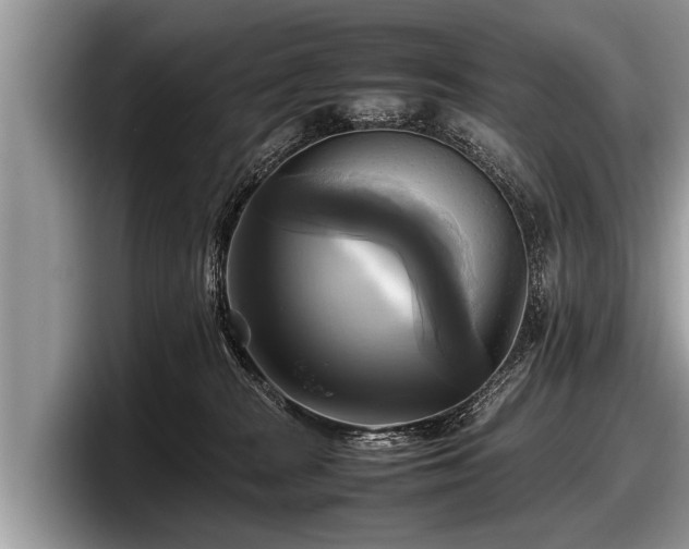 X0000097860277200803211300