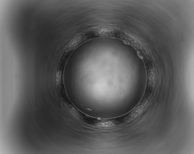 X0000097860278200803211300