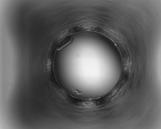 X0000097860279200803211300