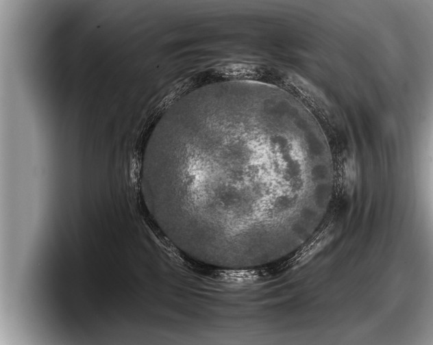 X0000097860281200803211300