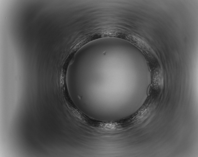 X0000097860282200803211300