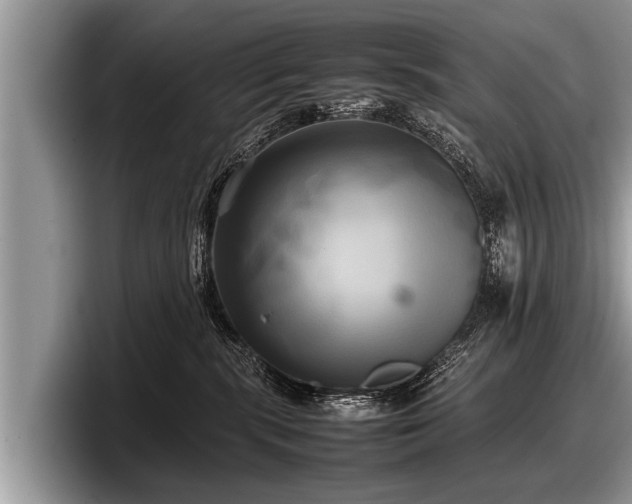 X0000097860283200803211300