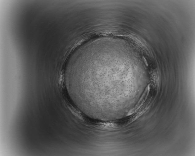 X0000097860284200803211300