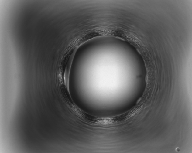 X0000097860288200803211300