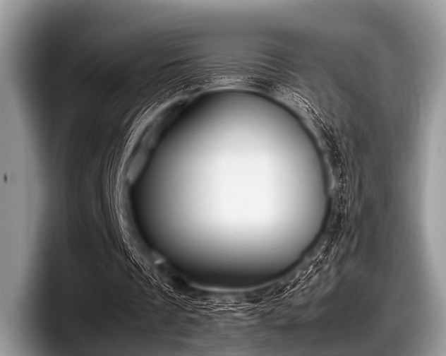 X0000097860289200803211300