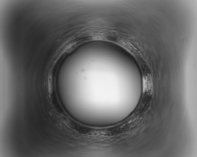 X0000097860291200803211300