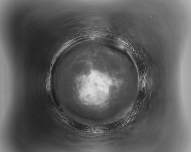 X0000097860292200803211300