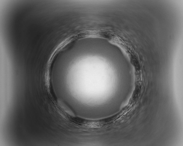 X0000097860293200803211300