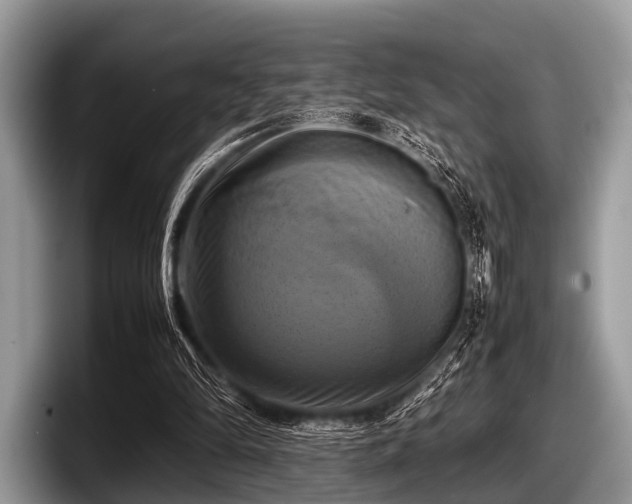 X0000097860294200803211300