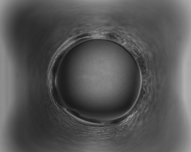 X0000097860295200803211300