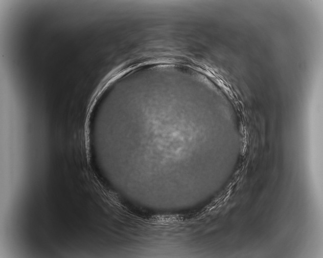 X0000097860296200803211300