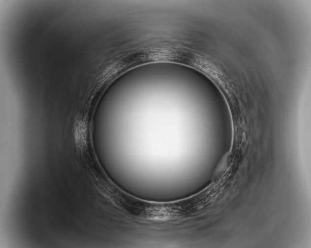 X0000097860297200803211300