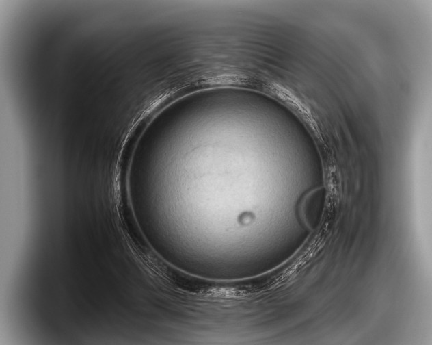 X0000097860298200803211300