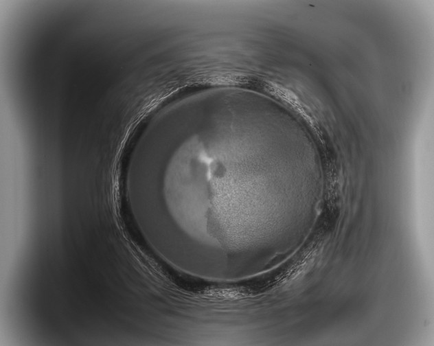 X0000097860299200803211300