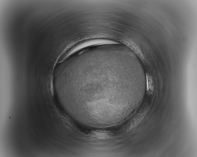 X0000097860300200803211300