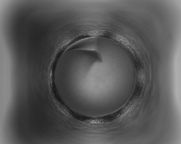 X0000097860303200803211259