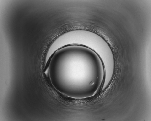 X0000097860305200803211259