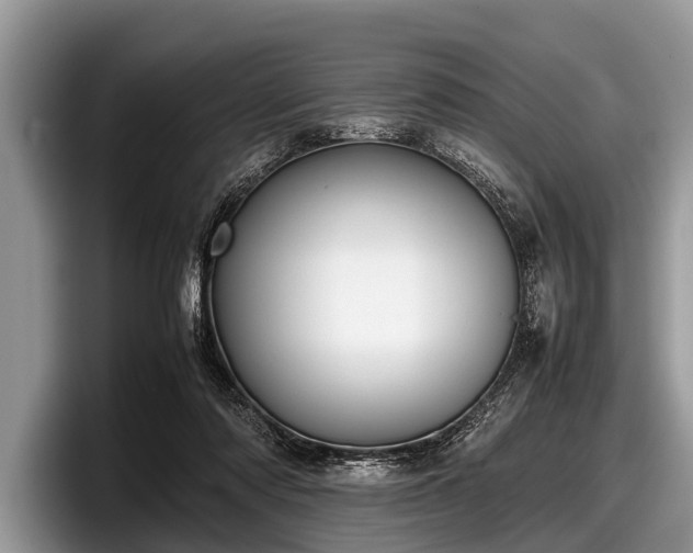 X0000097860310200803211259