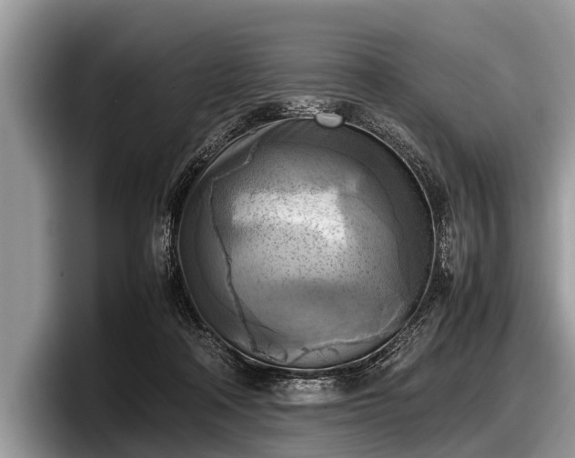 X0000097860314200803211259