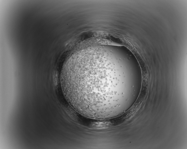 X0000097860323200803211259
