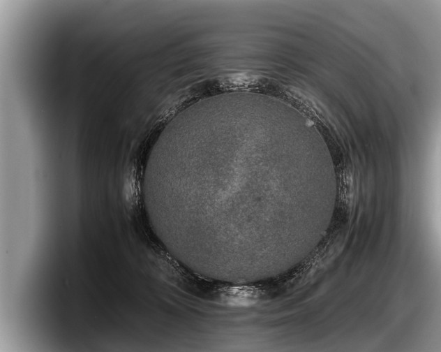 X0000097860324200803211259