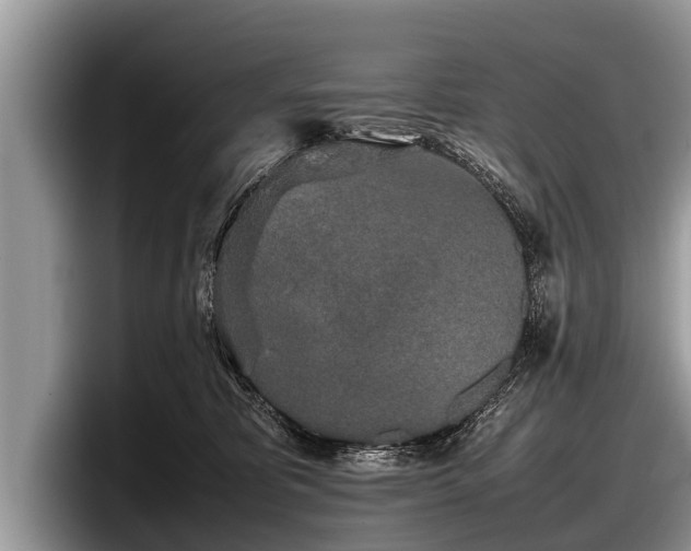 X0000097860325200803211259