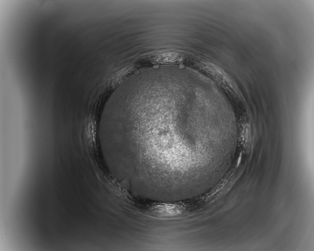 X0000097860326200803211259