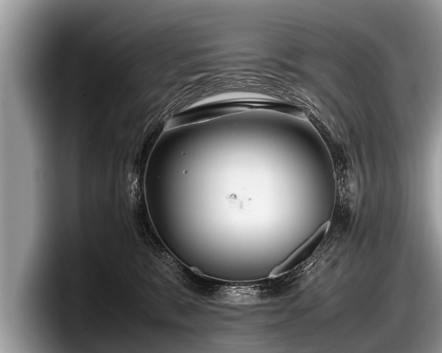 X0000097860327200803211259