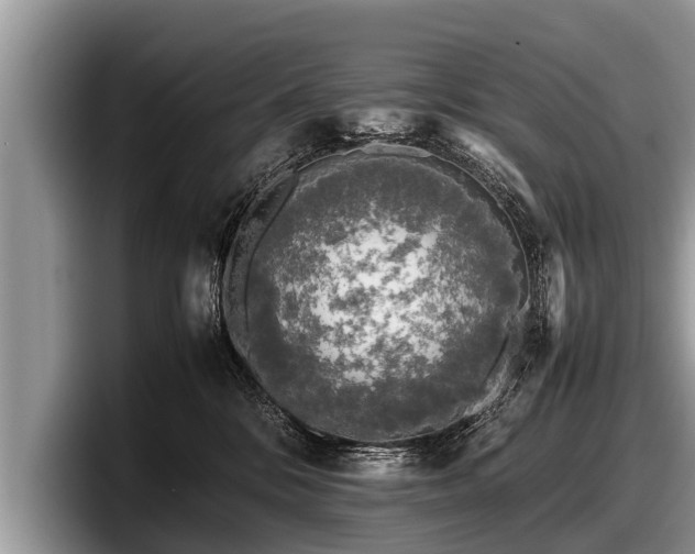 X0000097860328200803211259