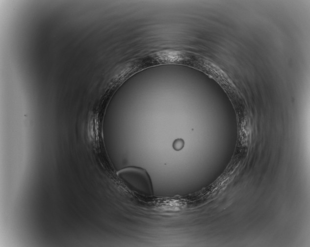 X0000097860330200803211259