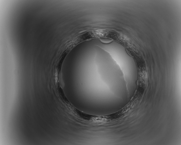 X0000097860331200803211259