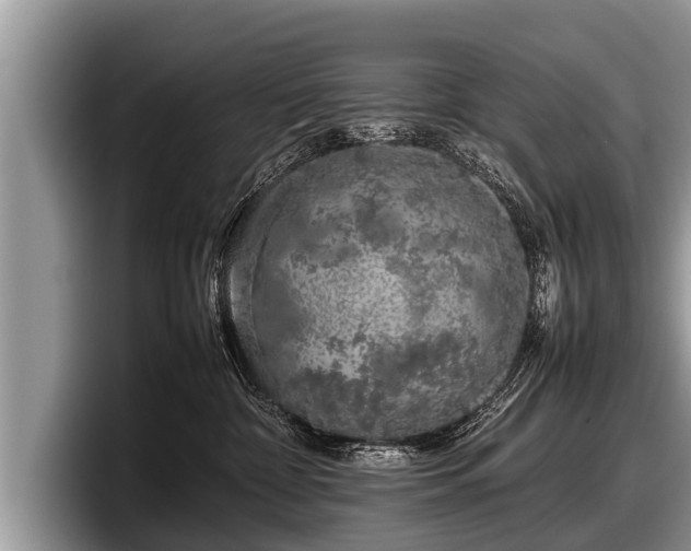 X0000097860332200803211259