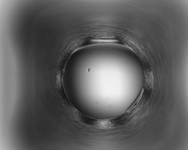 X0000097860333200803211259