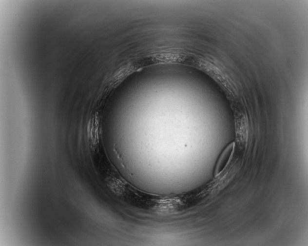 X0000097860334200803211259