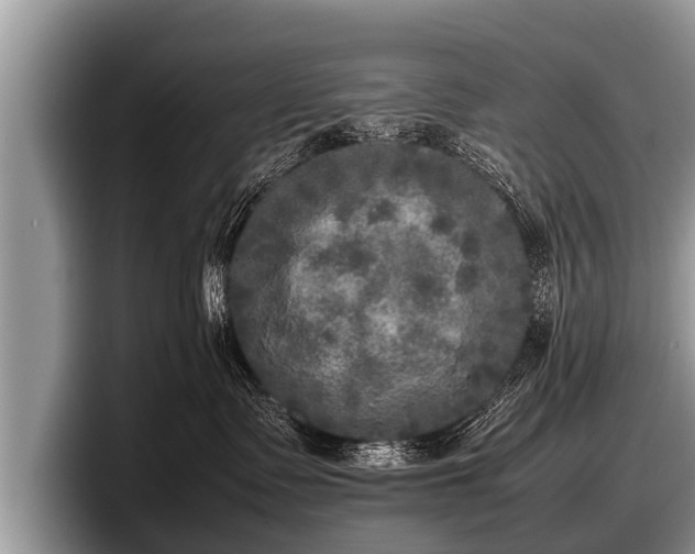 X0000097860335200803211259