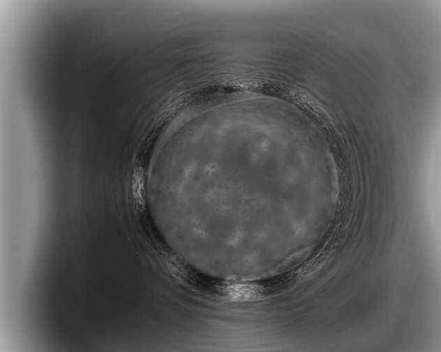 X0000097860336200803211259