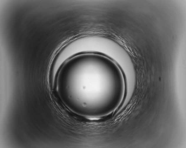 X0000097860340200803211258