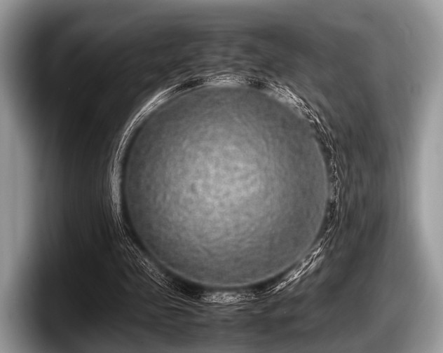 X0000097860341200803211258