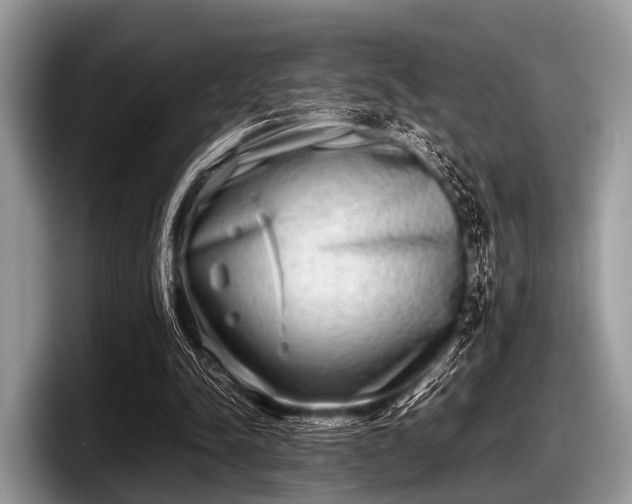 X0000097860342200803211258