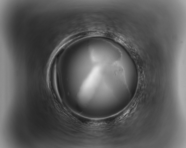 X0000097860343200803211258