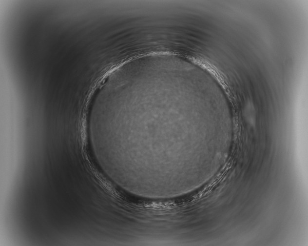 X0000097860345200803211259