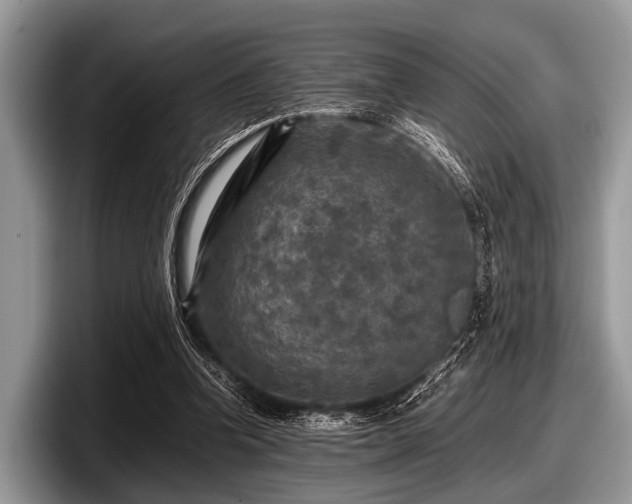 X0000097860346200803211259