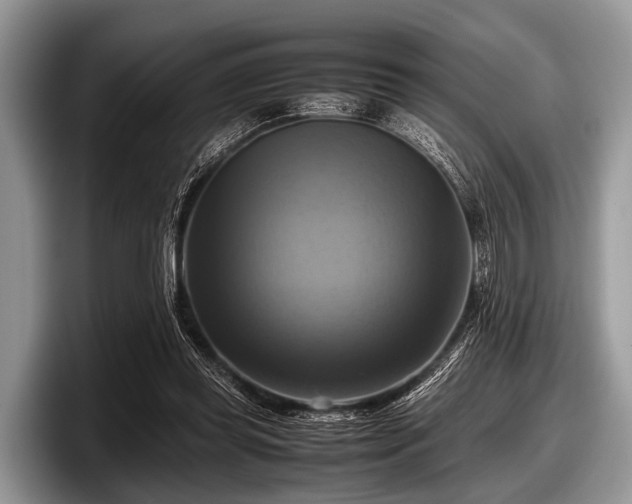 X0000097860349200803211259