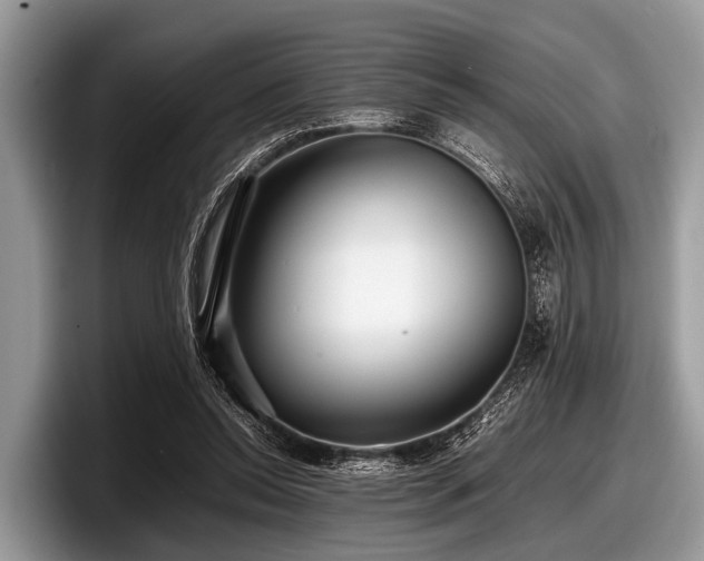 X0000097860350200803211259