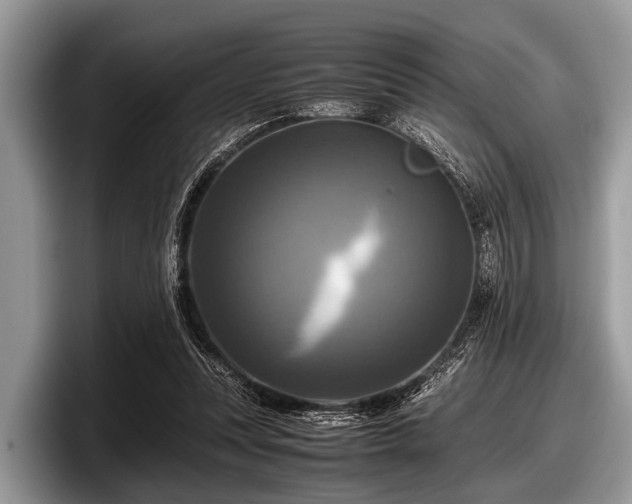 X0000097860351200803211259