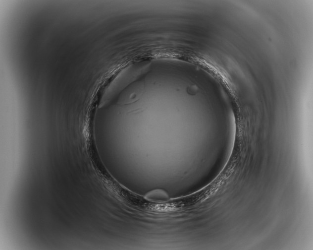 X0000097860353200803211259