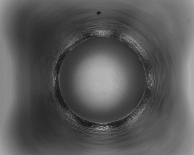 X0000097860355200803211259