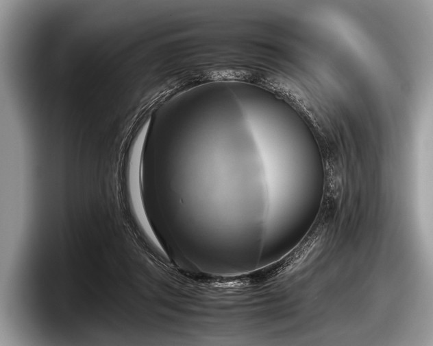 X0000097860357200803211259