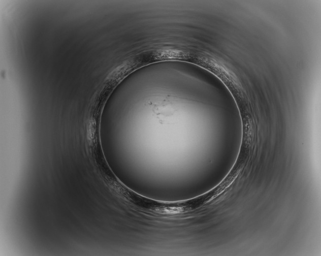 X0000097860361200803211259